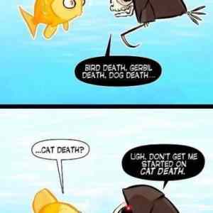 Obrázek 'DeathOfCats'