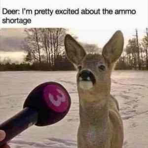 Obrázek 'Deer interview'