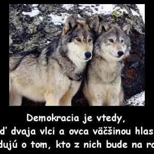 Obrázek 'Demokracia je'