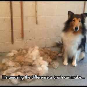 Obrázek 'Difference&nbsp;A&nbsp;Brush&nbsp;Can&nbsp;Make'