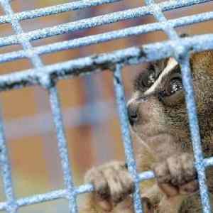 Obrázek 'Diner&nbsp;151211'