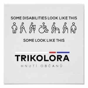 Obrázek 'Disabilities'