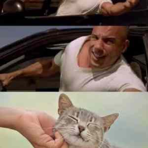 Obrázek 'Disel&nbsp;CAT'