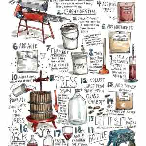 Obrázek 'Do You Know How to Make Wine - 18-06-2012'