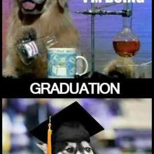 Obrázek 'Dog-science-lab-graduation'