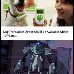 Obrázek 'Dog Translation Device'