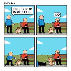 Obrázek 'Dog bite'
