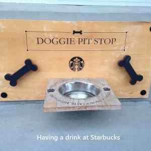 Obrázek 'Doggie-Pit-Stop '