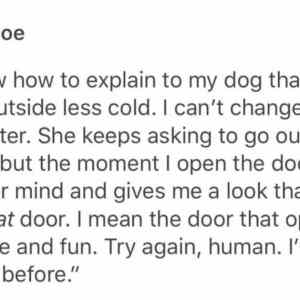 Obrázek 'Dogs have faith in humans'