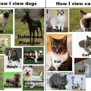 Obrázek 'Dogz vs Catz'