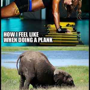 Obrázek 'Doing A Plankkk'