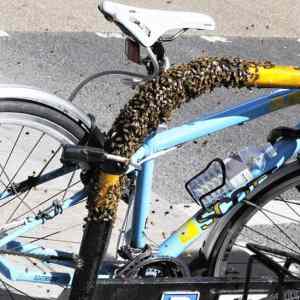 Obrázek 'Dokonala ochrana bicykla'