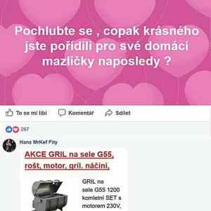 Obrázek 'Domaci mazlicci'