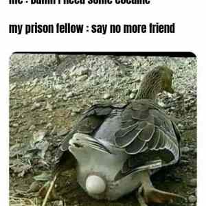 Obrázek 'Dont-do-drugs-btw'