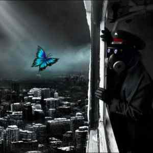 Obrázek 'Doomsday Picture 02 - butterfly'