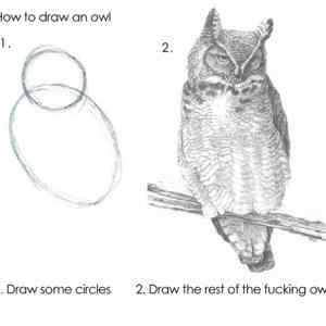 Obrázek 'Drawing expert'