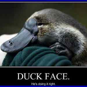 Obrázek 'Duck face 05-03-2012'