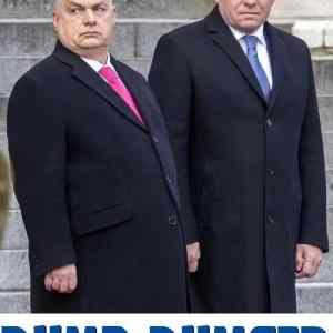 Obrázek 'Dumb-and-Dumber-Eastern-Europe-1734912808826'