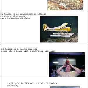 Obrázek 'Dumb&nbsp;Laws&nbsp;03-02-2012'