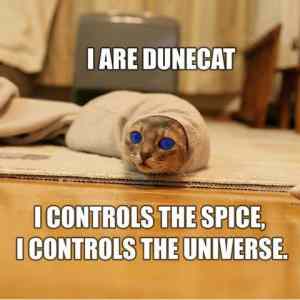 Obrázek 'Dune-cat'