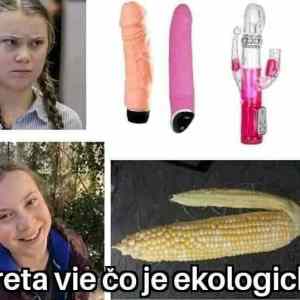 Obrázek 'EKOkot'
