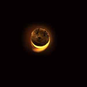 Obrázek 'Eclipse 19-02-2012'