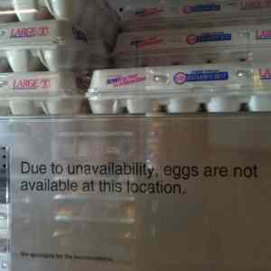 Obrázek 'Eggs are unavailable'