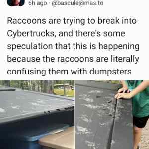 Obrázek 'Electric dumpsters'