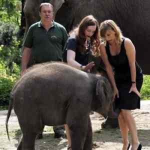 Obrázek 'Elephant Trunk Bangs Pretty Girl'