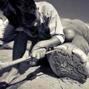 Obrázek 'Elephants also need a Manicure2'