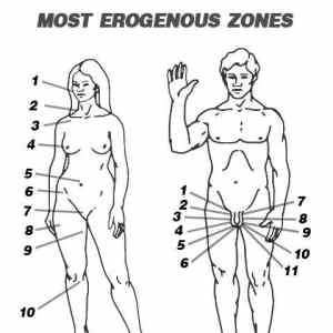 Obrázek 'Erotogenni zony'