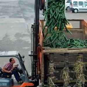 Obrázek 'Europe Gets Rid of All Its Cucumbers'
