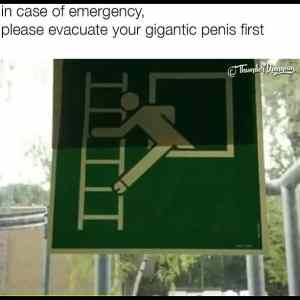Obrázek 'Evacuate penis'