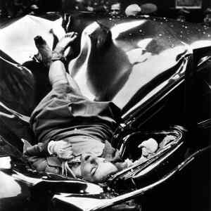 Obrázek 'Evelyn McHale nejkrasnejsi sebevrazda'