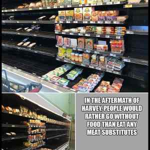 Obrázek 'Even In a Disaster No One Wants the Vegan Food'