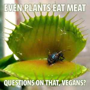 Obrázek 'Even Plants Eat Meattt'
