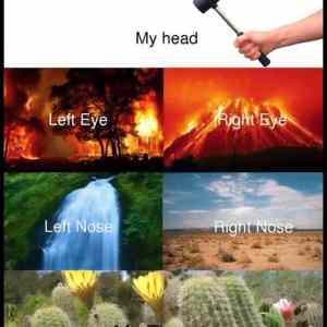 Obrázek 'Every&nbsp;Time&nbsp;I&nbsp;Get&nbsp;The&nbsp;Flu'