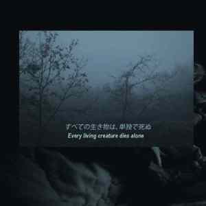 Obrázek 'Every living creature dies alone'