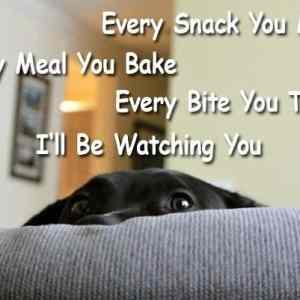 Obrázek 'Every snack - 15-05-2012'