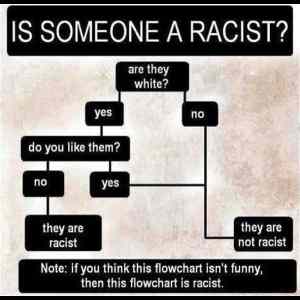 Obrázek 'Everyone&nbsp;Is&nbsp;Racist&nbsp;Now'