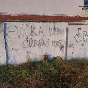 Obrázek 'Evicka Pavkova a jeji armadni funkce'