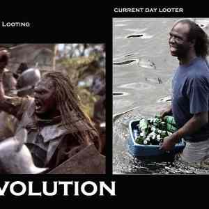 Obrázek 'Evolution - 23-05-2012'
