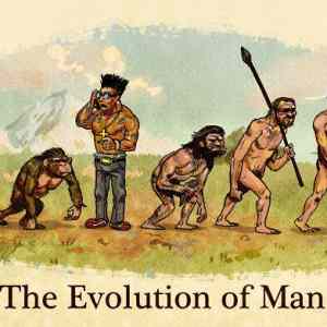 Obrázek 'Evolution 150911'