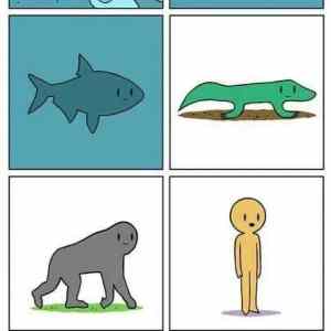 Obrázek 'Evolution irony'
