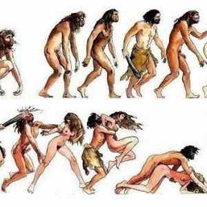 Obrázek 'Evolution of man 03-01-2012'
