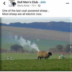 Obrázek 'Ewe emissions'