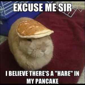 Obrázek 'Excuse me sir.  '