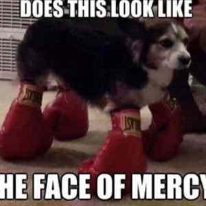 Obrázek 'FaceOfNoMercy'