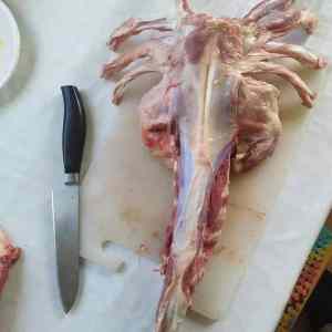 Obrázek 'Facehugger'