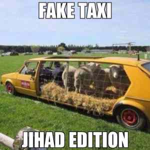 Obrázek 'Fake taxi jihad'